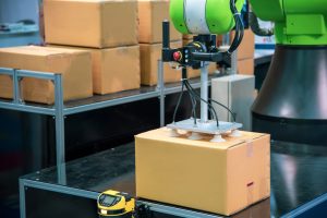 Palletizing Robots: Their Effects on Income and Production 3 palletizing 1