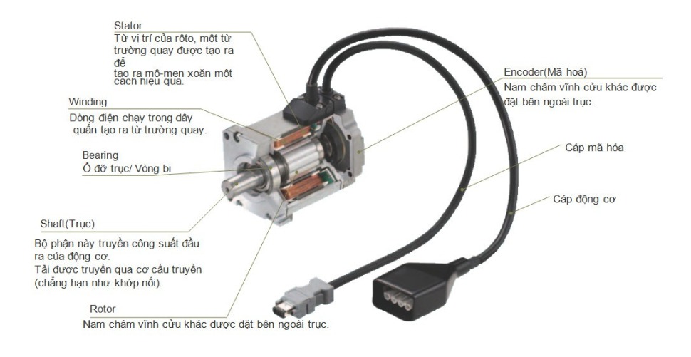 Khám phá động cơ Servo Fanuc trong tự động hóa 2 Cấu tạo của động cơ servo